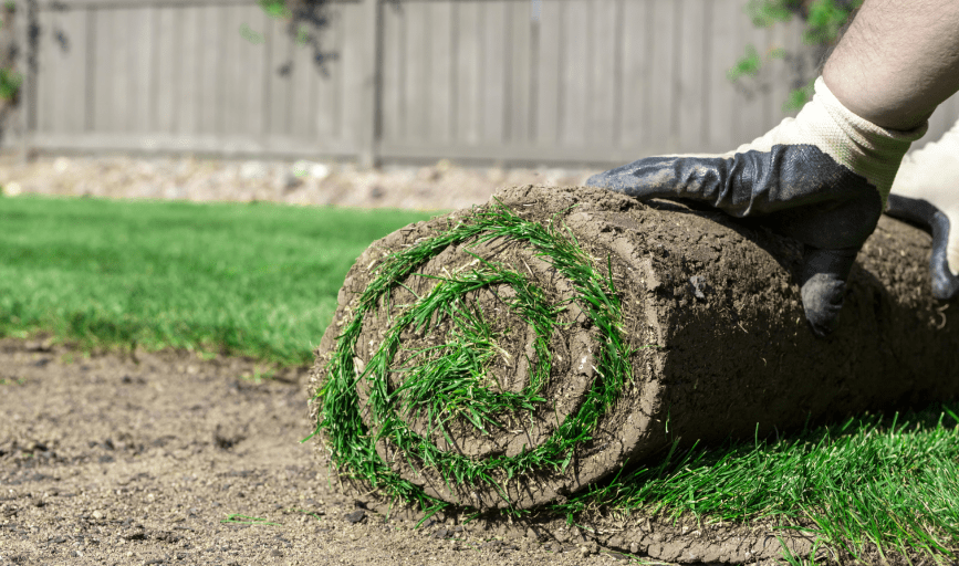 Sod Installation